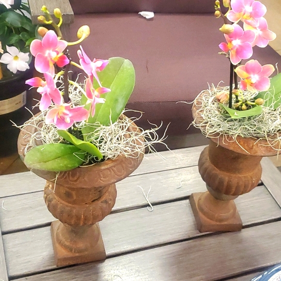 Pair of Small Victorian Cast Iron Planters - Picture 1 of 7